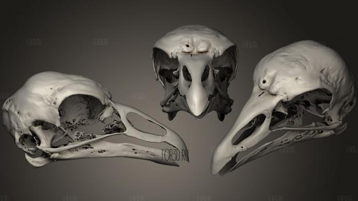 Animal Skulls 023 3d stl модель для ЧПУ